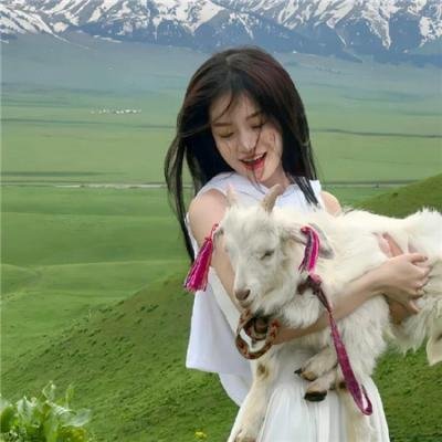 廉吏于成龙 海报